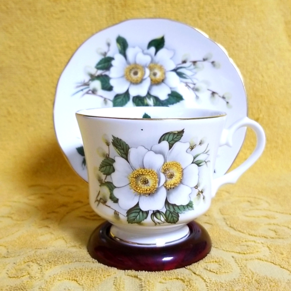 Vtg. Bone China cup & saucer